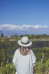 Vista panorámica de viñedos en el Valle de Uco con la Cordillera de los Andes nevada al fondo.
