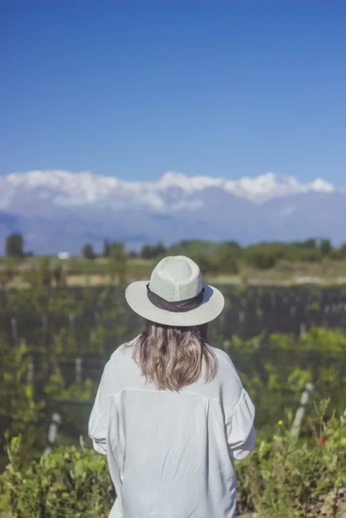 Vista panorámica de viñedos en el Valle de Uco con la Cordillera de los Andes nevada al fondo.