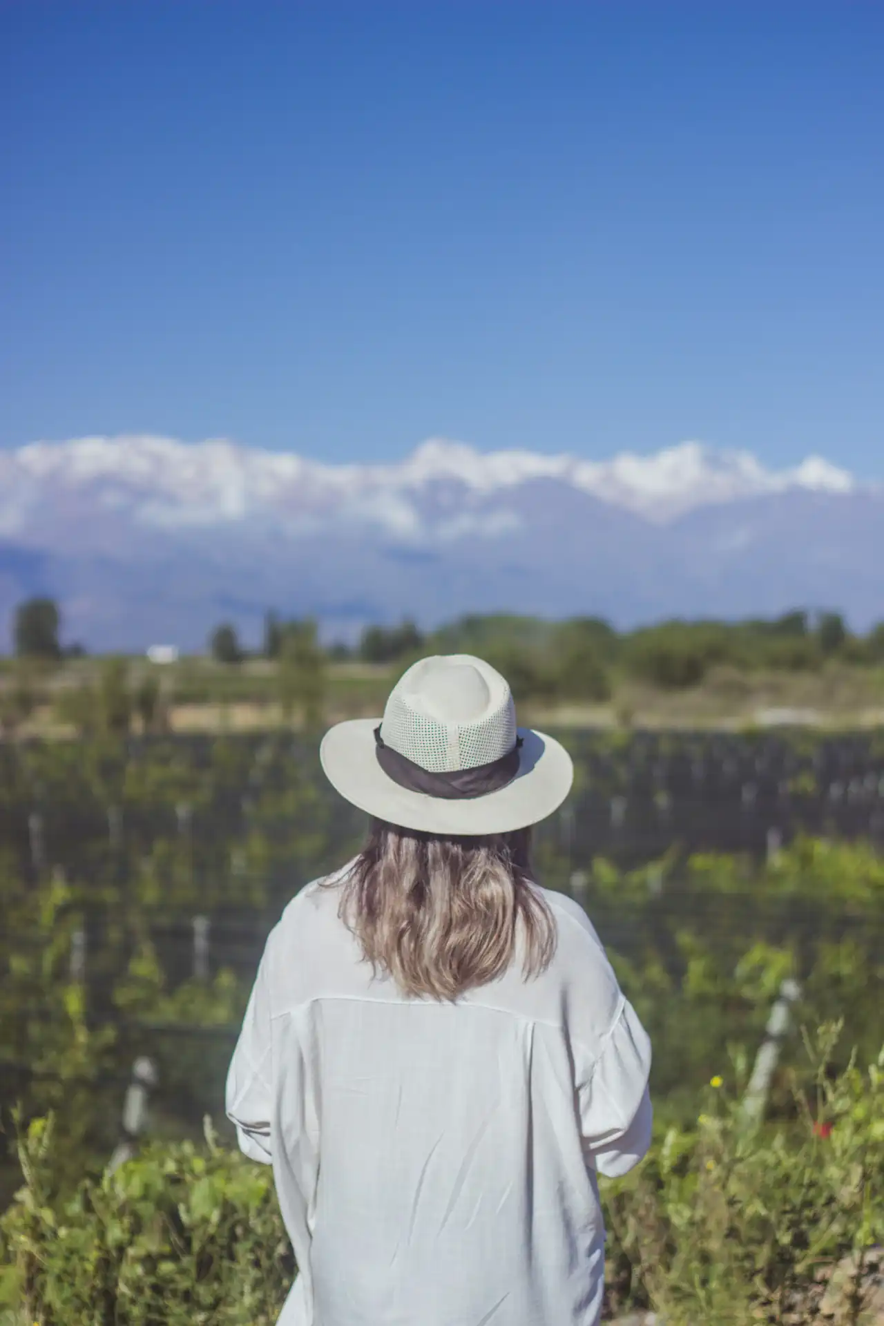 Vista panorámica de viñedos en el Valle de Uco con la Cordillera de los Andes nevada al fondo.